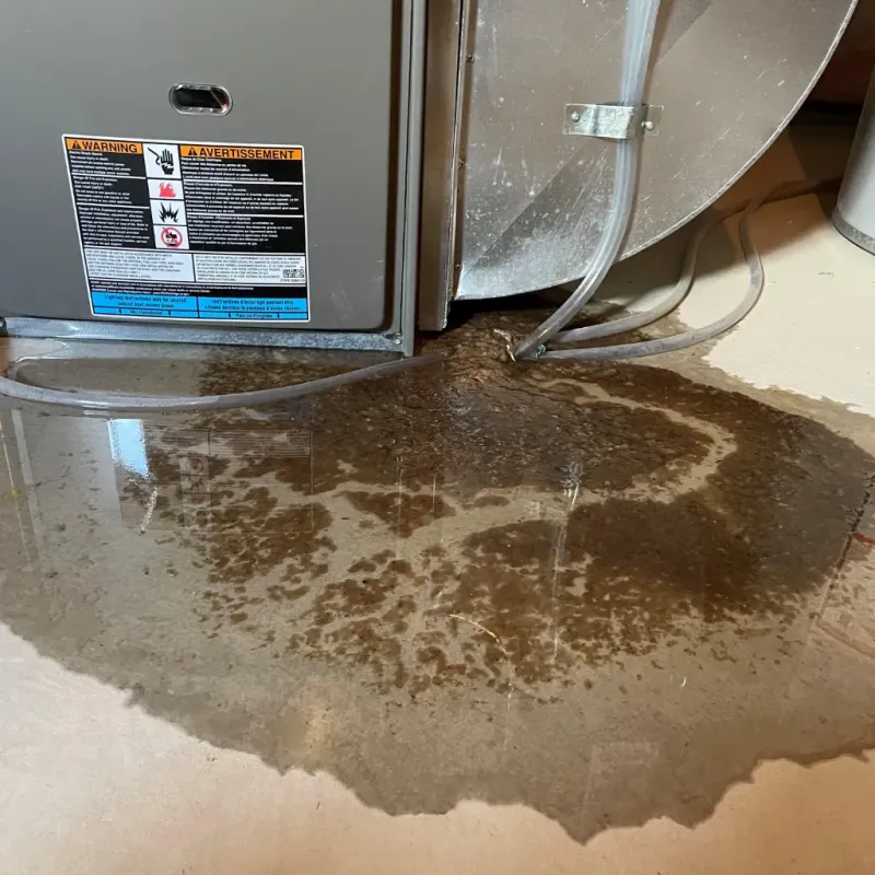 Appliance Leak Cleanup in Pender County, NC